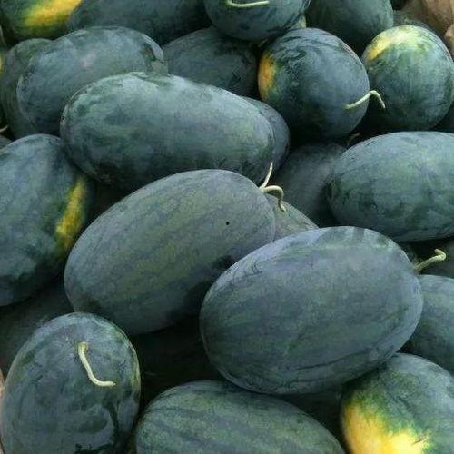 長江新視頻吃瓜,揭秘吃瓜群眾的狂歡盛宴