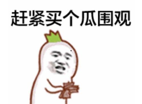 抱抱吃瓜群眾視頻大全,揭秘熱門視頻背后的趣味故事