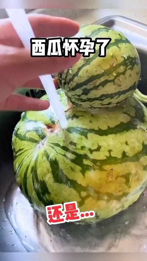 吃瓜搞笑聲音大全圖片視頻,讓你笑到肚子疼