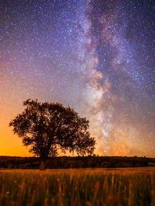 星空美女吃瓜視頻,揭秘娛樂圈幕后風云