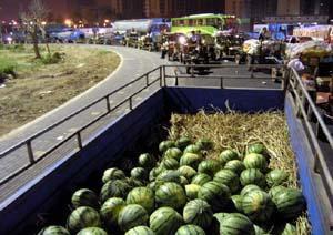 永年產業城吃瓜視頻,揭秘吃瓜群眾的視角下的產業新城生活