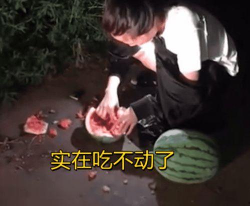 偷瓜吃的視頻大全播放,歡樂(lè)搞笑瞬間大盤點(diǎn)