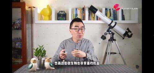 外國人吃土瓜視頻大全集,外國人挑戰(zhàn)吃土瓜視頻大集合