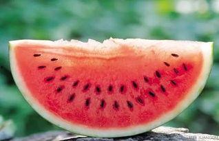 廣西天氣吃瓜視頻