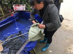 吃瓜群眾裝貨回家視頻,網(wǎng)友直呼“太接地氣”