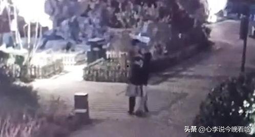 保定東湖吃瓜事件視頻播放,網絡熱議背后的真相揭秘